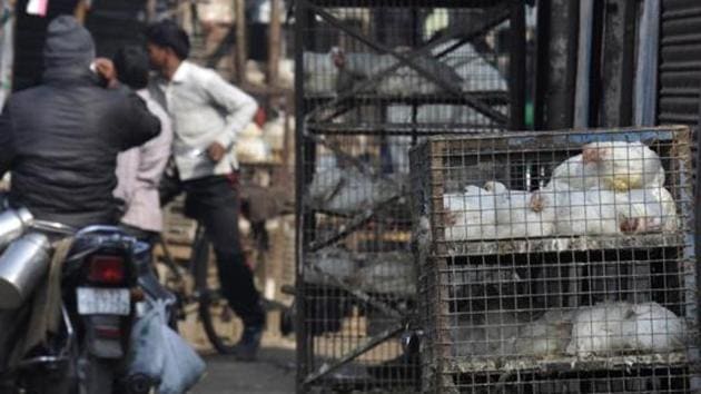 Officials said that those who have been issued a licence will not be allowed to slaughter animals or birds in the shop. They have to procure meat from wholesale markets and sell it to consumers. (HT File) Officials said that those who have been issued a licence will not be allowed to slaughter animals or birds in the shop. They have to procure meat from wholesale markets and sell it to consumers. (HT File)