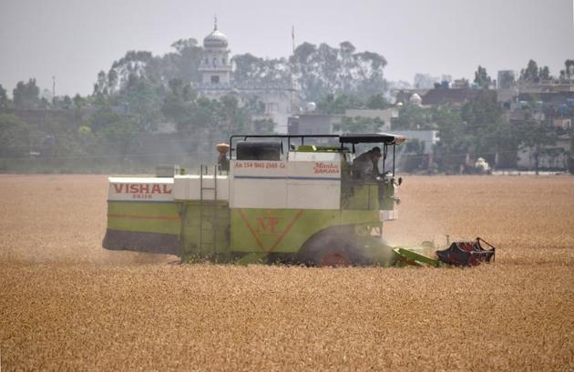 A wheat harvesting machine at work in fields near Jalandhar. (Sikander Singh Chopra/HT)