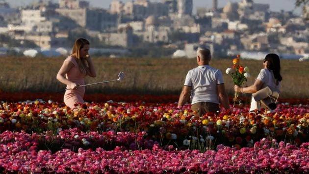 People pose for pictures with buttercup flowers in a field. (Amir Cohen / REUTERS)