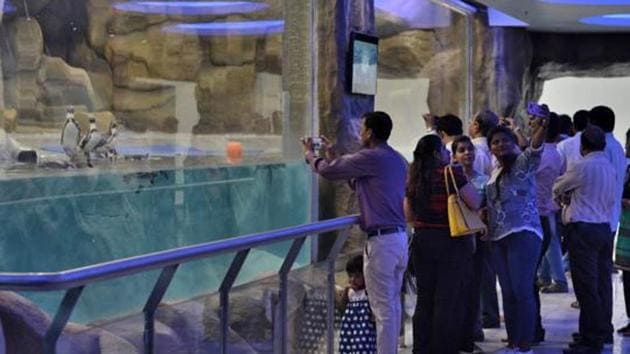 Visitors in the Byculla Zoo looking at Humboldt penguins kept in a 1500 square foot enclosure.(Prashant Waydande / Hindustan Times)