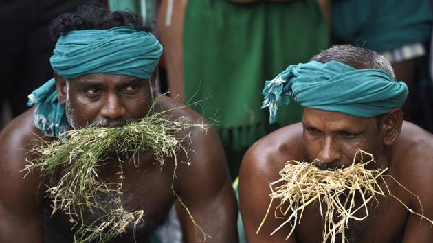 New Delhi, India- April 17, 2017: Tamil Farmer pretending to eat grass during a protest at Jatnar Mantar in New Delhi, India on Monday, April 17, 2017.Around 84 farmers from Tamil Nadu have been camping at Jantar Mantar demanding relief in the face of what is believed to be Cauvery basin’s worst drought in the past 150 years. ( Photo by Sonu Mehta/ Hindustan Times) (Sonu Mehta/HT PHOTO)