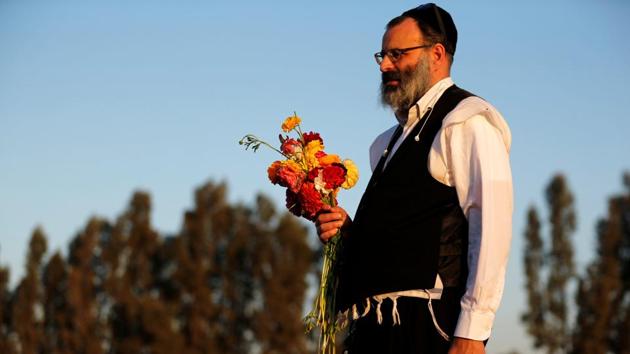 An Ultra-Orthodox man picks buttercup flowers in a field near. (Amir Cohen / REUTERS)