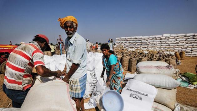 An elderly farmer delivering grain at a paddy procurement centre near Raipur, Chhattisgarh. Over a third of India’s elderly people–38%–continue to work, according to the National Sample Survey Office. An elderly farmer delivering grain at a paddy procurement centre near Raipur, Chhattisgarh. Over a third of India’s elderly people–38%–continue to work, according to the National Sample Survey Office.