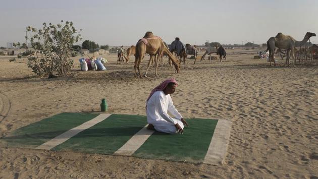 A Sudanese camel keeper, performs his afternoon prayers at a farm for female racing camels, in Dubai. (Kamran Jebreili / AP)