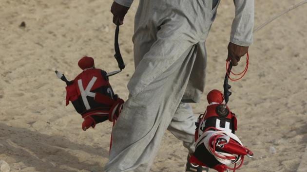 A camel keeper carries robotic jockeys ahead of a race. (Kamran Jebreili / AP)