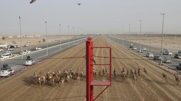 Camel owners in their SUVs follow their camels as a race starts at the Al Marmoom Camel Racetrack, in al-Lisaili about 40 km (25 miles) southeast of Duba. (Kamran Jebreili / AP)