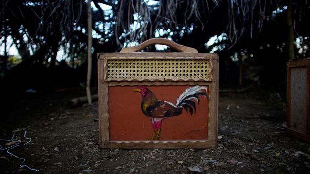 A handmade case used to transport a rooster. (Alexandre Meneghini / Reuters)