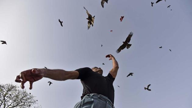 Kites have the right of the way around the Masjid located next to the Minar-e-Zarreen. (Burhaan Kinu/HT PHOTO)