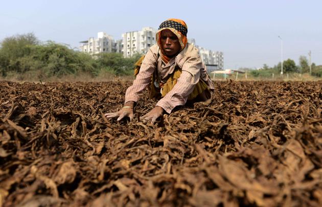 In a review meeting held by chief minister Devendra Fadnavis on Thursday, the government identified five commercial, private and nationalised banks for disbursing crop loans. (Representational Photo/AFP) In a review meeting held by chief minister Devendra Fadnavis on Thursday, the government identified five commercial, private and nationalised banks for disbursing crop loans. (Representational Photo/AFP)