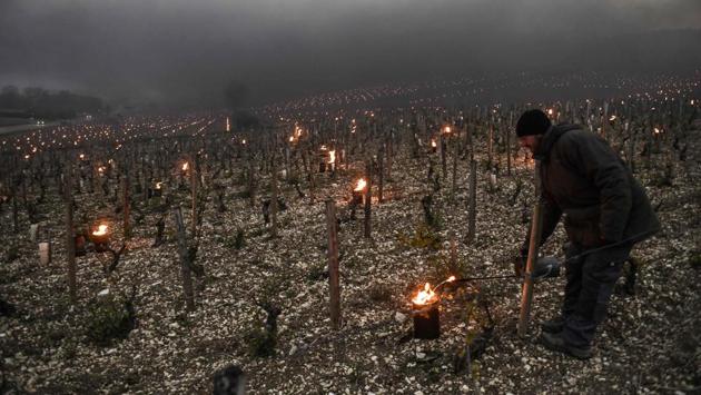 A wine growers lights heaters in a Chablis vineyard. Burgundy, home to popular Chablis wines, saw a similar freeze last year. (Philippe Desmazes/AFP)