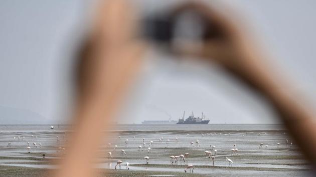 There were plenty of picture-perfect moments at the festival. (Kunal Patil/HT Photo)