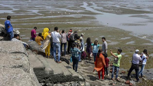 And to sensitise people about the importance that the Sewri-Mahul mudflats hold for the birds. (Kunal Patil/HT Photo)