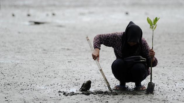 An Indonesian student plants a mangrove at Ujong Pancu beach in Aceh Besar, Aceh province on April 22, 2017. The event is part of Earth Day celebration themed Environmental and Climate Literacy, which is marked on April 22. (Chaideer Mahyuddin/AFP) An Indonesian student plants a mangrove at Ujong Pancu beach in Aceh Besar, Aceh province on April 22, 2017. The event is part of Earth Day celebration themed Environmental and Climate Literacy, which is marked on April 22. (Chaideer Mahyuddin/AFP)