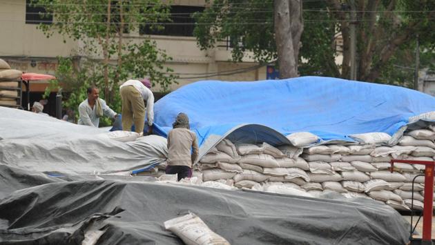 Labourers trying to cover the wheat bags with tarpaulin sheets in Jalandhar.  (Pardeep Pandit/HT ) 