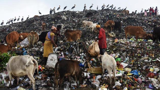 Scavengers collect recyclable materials at a garbage dump site on the occasion of Earth Day, in Guwahati. (Anuwar Hazarika/REUTERS) Scavengers collect recyclable materials at a garbage dump site on the occasion of Earth Day, in Guwahati. (Anuwar Hazarika/REUTERS)
