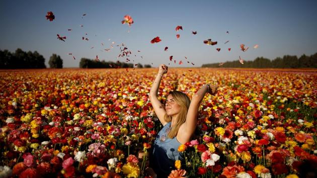A woman poses for a photographer in a buttercup flower field near Kibbutz Nir Yitzhak in southern Israel on April 18, 2017. (Amir Cohen/REUTERS) A woman poses for a photographer in a buttercup flower field near Kibbutz Nir Yitzhak in southern Israel on April 18, 2017. (Amir Cohen/REUTERS)