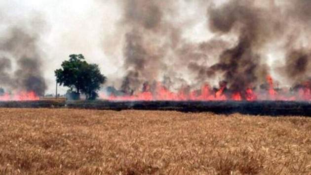 Sukhwinder Singh, a farmer from Samrala, said the entire responsibility to check there’s no fault in distribution lines passing over fields lies with the farmer concerned. (HT Representative Image) Sukhwinder Singh, a farmer from Samrala, said the entire responsibility to check there’s no fault in distribution lines passing over fields lies with the farmer concerned. (HT Representative Image)