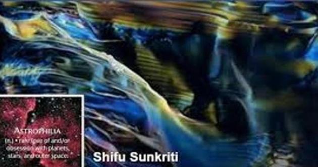 The court said it was satisfied with the probe against Shifu Sunkriti conducted so far. (HT) The court said it was satisfied with the probe against Shifu Sunkriti conducted so far. (HT)