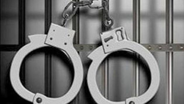 The accused was arrested and booked under IPC sections 376 (2)(f) (commits rape on a woman when she is under twelve years of age) and 506(1) (criminal intimidation). The accused was arrested and booked under IPC sections 376 (2)(f) (commits rape on a woman when she is under twelve years of age) and 506(1) (criminal intimidation).
