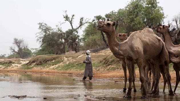 The Yobe river that separates Nigeria from Niger, where thousands fled to safety from attacks by Boko Haram insurgents . (Florian Plaucheur / AFP)