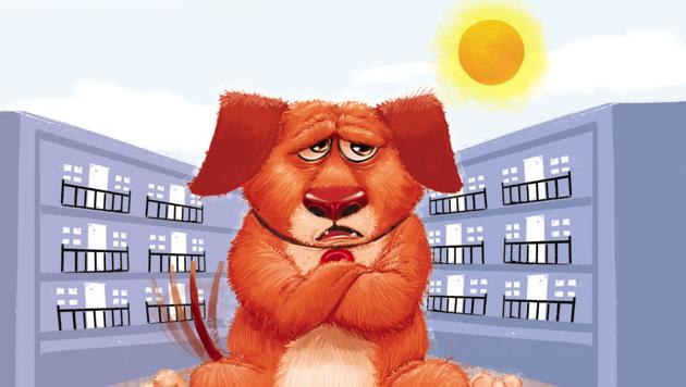 ILLUSTRATION: SIDDHANT JUMDE ILLUSTRATION: SIDDHANT JUMDE