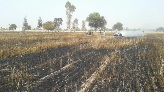 In last one month, more than 20 incidents of fire have been reported in the district, most of them from agricultural fields.(HT File Photo)