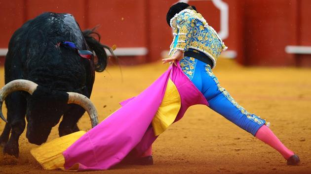 Spanish matador Julian Lopez 'El Juli' performs a pass with capote on a bull during a bullfight at the Maestranza bullring. (CRISTINA QUICLER / AFP)