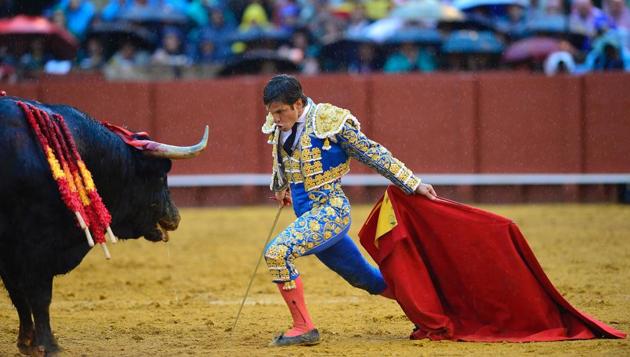 Spanish matador Julian Lopez 'El Juli' looks at the bull during a bullfight. (CRISTINA QUICLER / AFP)