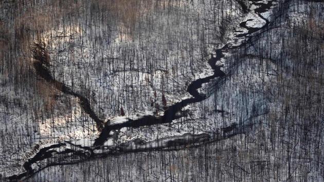 Dead trees are seen in this aerial view pictured near Fort McMurray. The 2016 wildfires stopped nearly all oil sands extraction and refining for an entire month, slashing production by more than a million barrels of oil a day, or 0.4 percentage points of Canada’s gross domestic product, according to government statistics. (Robyn Beck/AFP) Dead trees are seen in this aerial view pictured near Fort McMurray. The 2016 wildfires stopped nearly all oil sands extraction and refining for an entire month, slashing production by more than a million barrels of oil a day, or 0.4 percentage points of Canada’s gross domestic product, according to government statistics. (Robyn Beck/AFP)