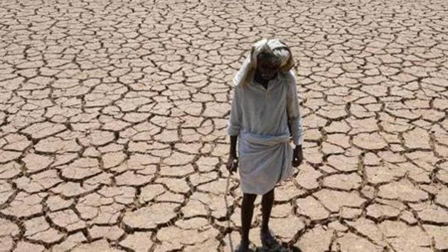 Representative Image: An Indian farmer poses in his dried up cotton field at Chandampet Mandal in Nalgonda east of Hyderabad on April 25, 2016, in the southern Indian state of Telangana.(AFP) Representative Image: An Indian farmer poses in his dried up cotton field at Chandampet Mandal in Nalgonda east of Hyderabad on April 25, 2016, in the southern Indian state of Telangana.(AFP)