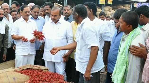 For the past few weeks, mounds of chilli have been piling up at major market yards across both states.(HT Photo) For the past few weeks, mounds of chilli have been piling up at major market yards across both states.(HT Photo)