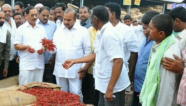For the past few weeks, mounds of chilli have been piling up at major market yards across both states. (HT Photo) For the past few weeks, mounds of chilli have been piling up at major market yards across both states. (HT Photo)
