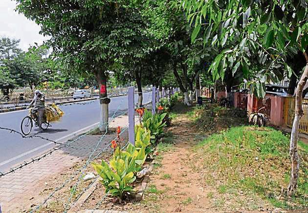 The RWA had started a two-month development programme for residents, in which they planted trees and flowers. (Parveen Kumar/HT Photo) The RWA had started a two-month development programme for residents, in which they planted trees and flowers. (Parveen Kumar/HT Photo)