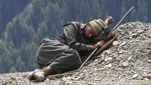 A shepherd catches an afternoon nap after a tiring journey across the mountains. (Waseem Andrabi /HT Photo) A shepherd catches an afternoon nap after a tiring journey across the mountains. (Waseem Andrabi /HT Photo)