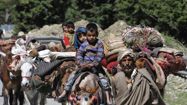 “The goat gives milk, the sheep are sold for meat in parts of Kashmir and horses and mules are used for ferrying tourist in hill stations like Gulmarg and Pahalgam and pilgrims during the Amarnath Yatra ” says a nomad on their way of livelihood. (Waseem Andrabi /HT Photo) “The goat gives milk, the sheep are sold for meat in parts of Kashmir and horses and mules are used for ferrying tourist in hill stations like Gulmarg and Pahalgam and pilgrims during the Amarnath Yatra ” says a nomad on their way of livelihood. (Waseem Andrabi /HT Photo)