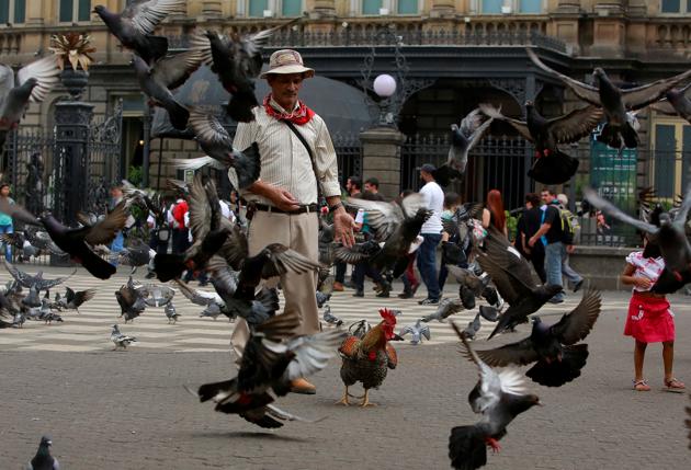Martin Herrera and Paquito among pigeons at the Culture Square in San Jose. (Juan Carlos Ulate / Reuters) Martin Herrera and Paquito among pigeons at the Culture Square in San Jose. (Juan Carlos Ulate / Reuters)