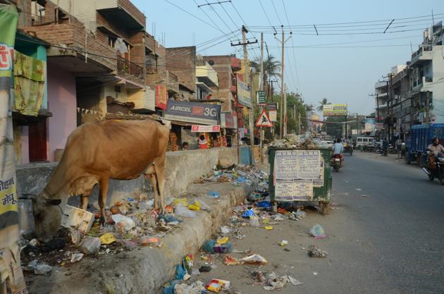 Bihar’s capital Patna continues to have a garbage problem, despite its efforts to win the ‘smart city’ tag.(AP Dube/HT photo)