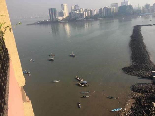 The photograph of the polluted shoreline taken by the complainant