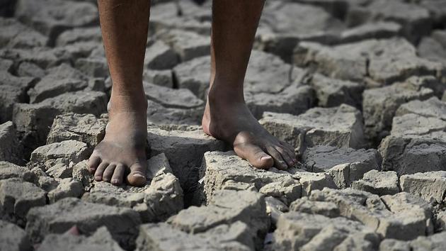 Built on fertile land, the old fort lake land is now seen drying and becoming lifeless. (Raj K Raj/HT PHOTO)