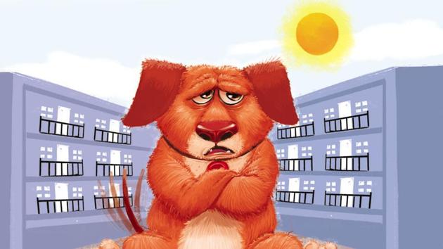 Of the 145 pet dogs that were found abandoned last year, most were labradors, german shepherds, dachshunds, pomeranians, golden retrievers and great danes , said officials.(ILLUSTRATION: SIDDHANT JUMDE)