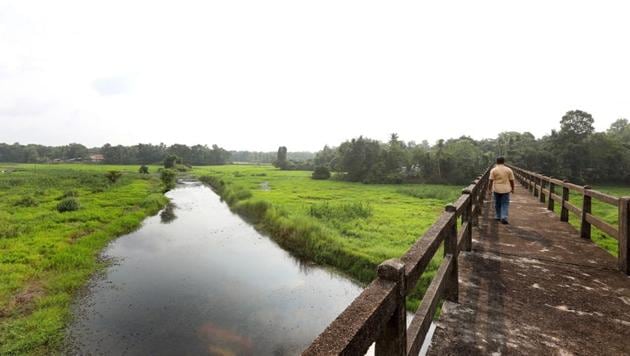 The Kuttemperoor river in Alappuzha district that has been revived after two decades.(Vivek Nair/HT Photo)