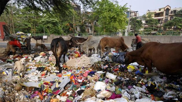 FONRWA has also decided to survey all sectors of Noida and award the cleanest sector. (Sunil Ghosh/HT Photo) FONRWA has also decided to survey all sectors of Noida and award the cleanest sector. (Sunil Ghosh/HT Photo)