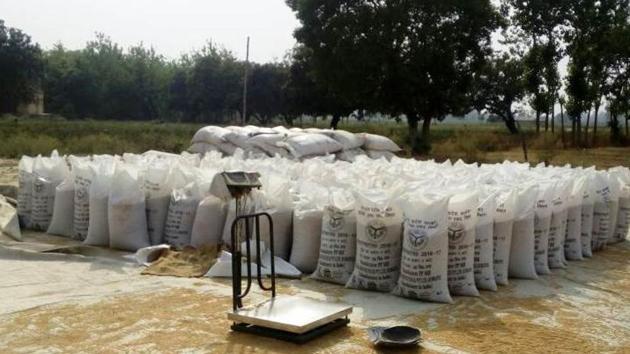 In absence of proper centres, wheat is procured on open ground. (HT File Photo) In absence of proper centres, wheat is procured on open ground. (HT File Photo)
