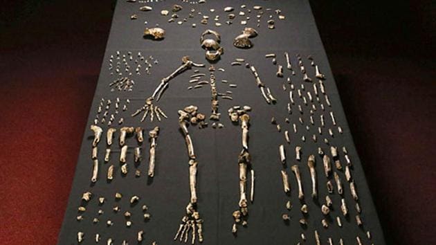 The question of when Homo naledi went extinct, and why, remains unanswered.(AFP File Photo)