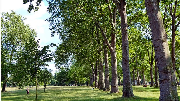 A part of the Hyde Park in London.(Photo: Wikimedia)