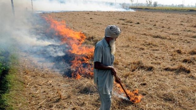 Despite administration’s ban on burning of stubble, farmers continue to openly defy the order. (HT Representative Image) Despite administration’s ban on burning of stubble, farmers continue to openly defy the order. (HT Representative Image)