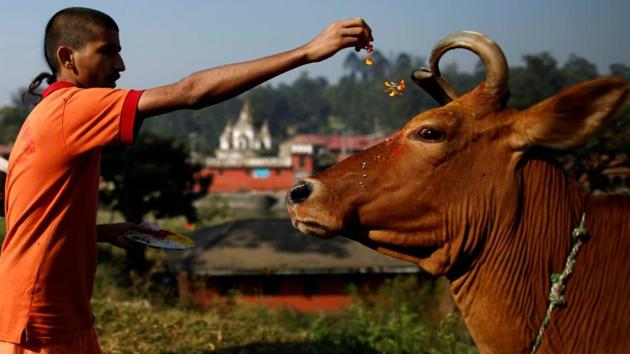 The government should consider according national animal status to the cow, Jamiat Ulema-i- Hind president Maulana Syed Arshad Madani said. (Reuters File Photo) The government should consider according national animal status to the cow, Jamiat Ulema-i- Hind president Maulana Syed Arshad Madani said. (Reuters File Photo)