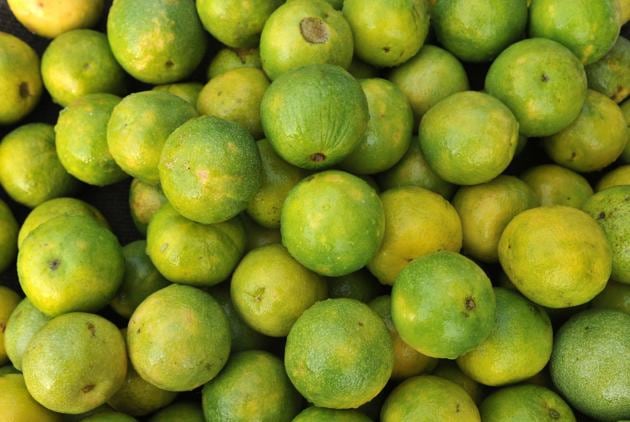 The Kota region recorded 98% of orange production in Rajasthan in 2015-2016. (HT Photo) The Kota region recorded 98% of orange production in Rajasthan in 2015-2016. (HT Photo)
