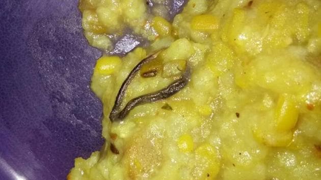 Right before girls of class 7 of the Government Girls Middle School in Faridabad were about to start eating, a student spotted a small dead snake on her plate.(ANI Twitter)
