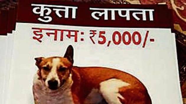 The poster that was put up in Gurgaon when Brownie went missing on April 1.